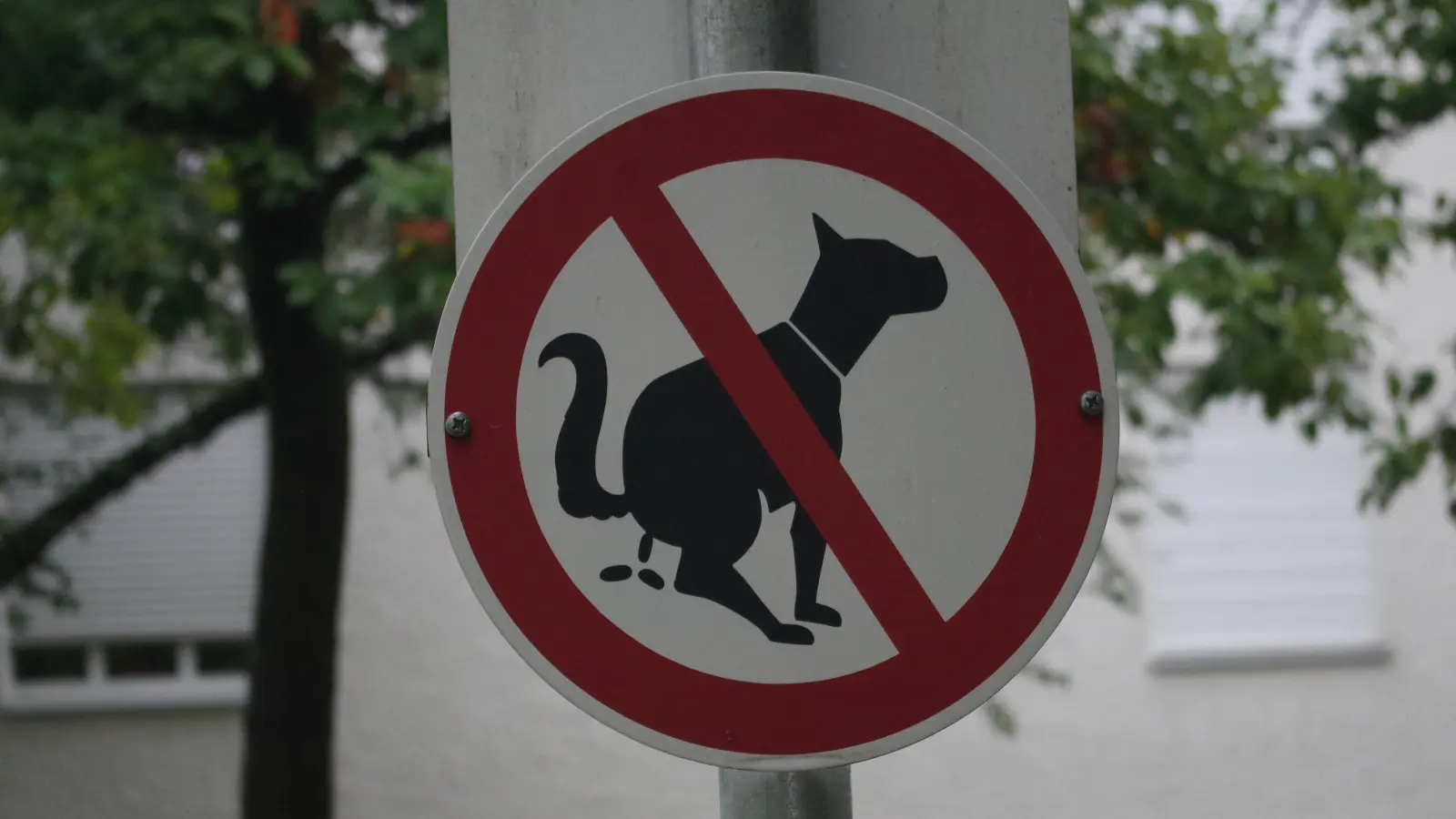 Die meisten Grünflächen in München schließen Hunde aus.  (Foto: Beatrix Köber)