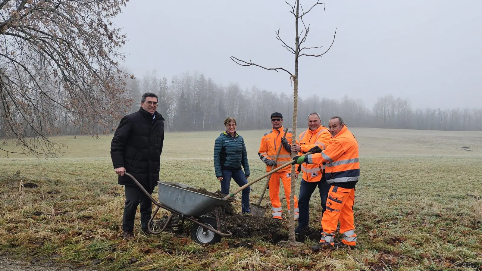 Beim Abschluss der diesjährigen Pflanzmaßnahmen (v.l.): Frank Zellner (Erster Bürgermeister), Paloma Ziegelmeier (Marktbauamt), Lars Konek (Bauhof), Roman Bals (Leiter des Bauhofs) und Antoine Hermann (im Bauhof) (Foto: Gemeinde Peißenberg)