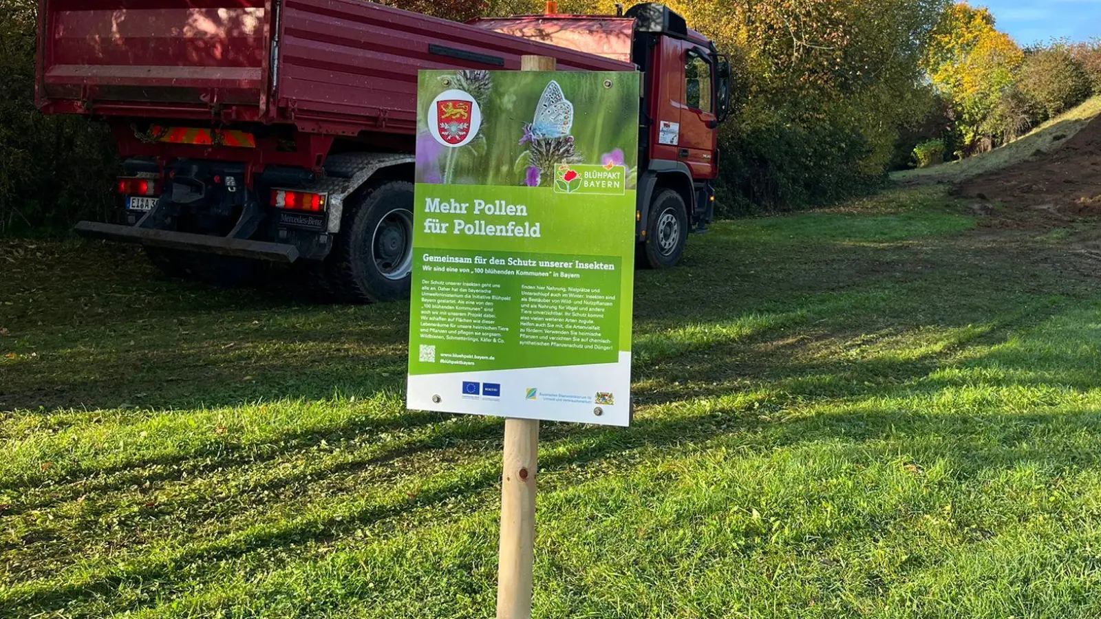 Nomen est Omen: In der Gemeinde Pollenfeld (Landkreis Eichstätt) wird eine Blühwiese angelegt. (Foto: Anne Fröhlich)