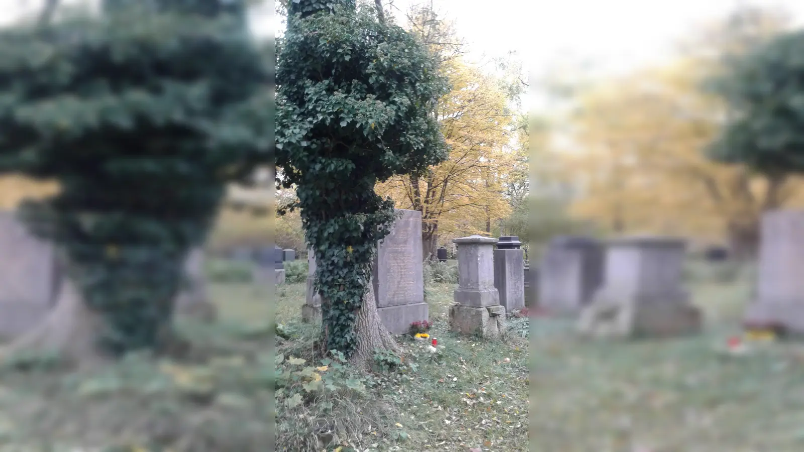 Grabstätten der Flößer, Zimmerer, Bau- und Braumeister des 19. Jahrhunderts stehen im Fokus der Führung. (Foto: VA)