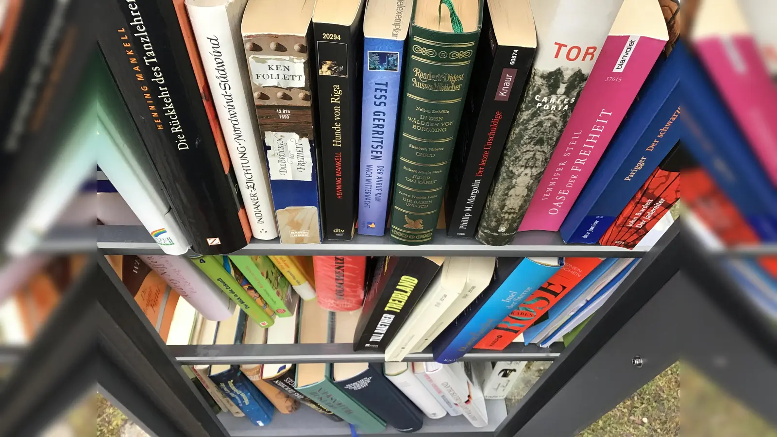 Im öffentlichen Bücherschrank findet bestimmt jeder geeignetes Lesefutter.  (Foto: Daniel Mielcarek)