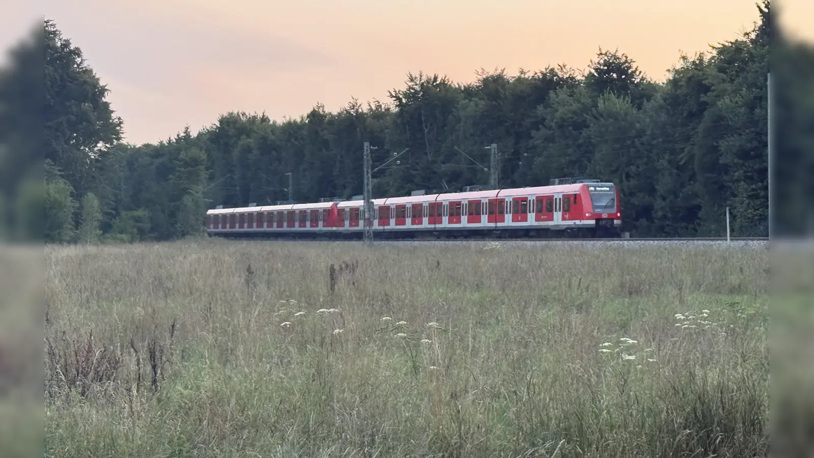 Die S-Bahn fährt derzeit noch durch. In Zukunft könnte an dieser Stelle der S-Bahnhalt Weichselbaum sein. (Foto: pst)