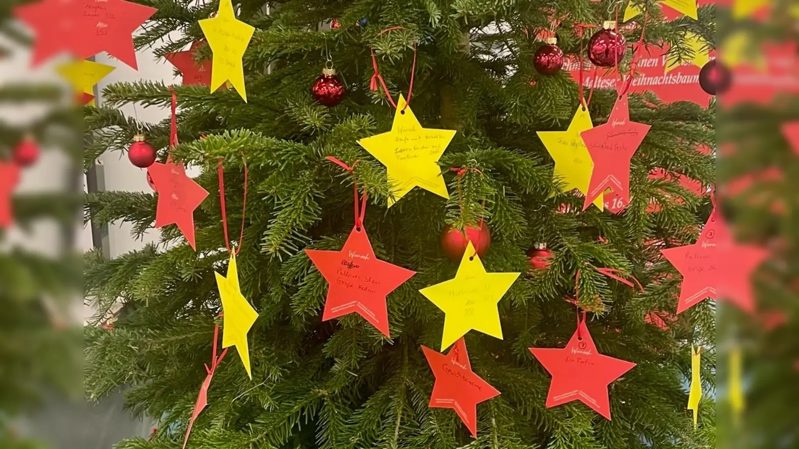 Ein geschmückter Tannenbaum sieht nicht nur hübsch aus, er kann auch Wünsche erfüllen. Wer bei der Wunschbaum-Aktion mitmacht, erfüllt Bedürftigen einen kleinen Wunsch und bringt damit viel Freude! (Symbolbild: bb)