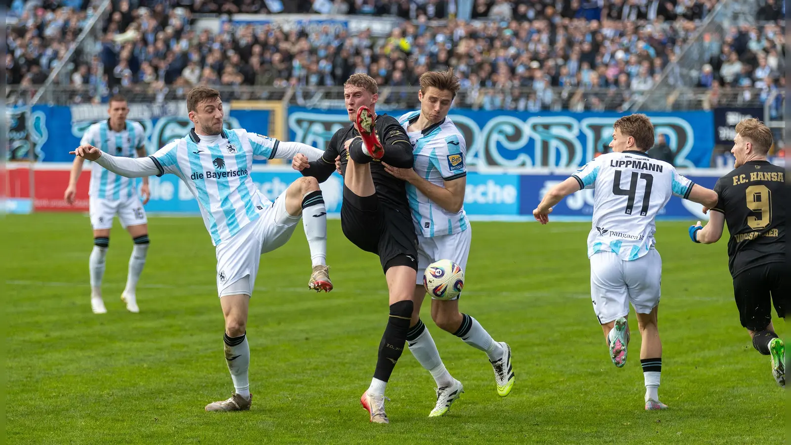 Hartes Duell: Sechzig gegen Hansa Rostock. (Foto: Anne Wild)