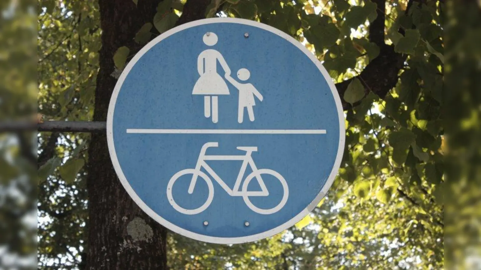 Wo solche Schilder stehen, müssen Radler den Radweg benutzen und dürfen nicht auf der Fahrbahn radeln. Für Juri Wostal ist der Weg an der Forstenrieder Straße mit diesem Zeichen falsch beschildert. Im Bezirksausschuss wurde daher angeregt, dieses Schild zu entfernen. (Foto: job)