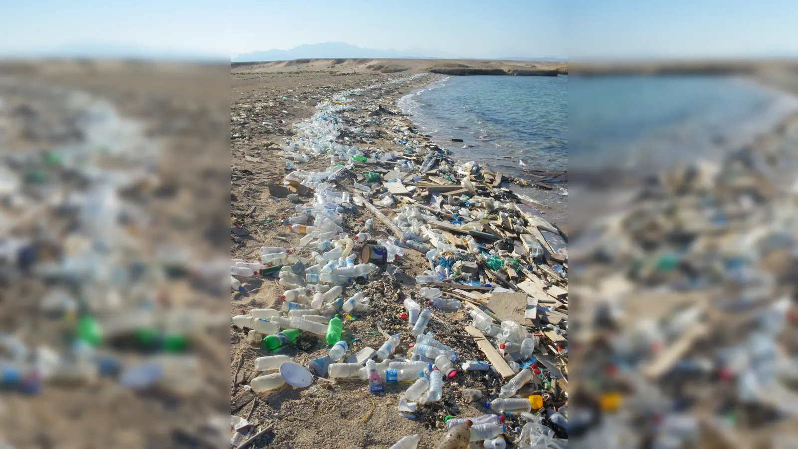 Plastikmüll ist schon längst ein globales Umweltproblem. Auch in Bayern: Alleine in München fallen jährlich 42.000 Tonnen Verpackungsmüll an.  (Foto: gemeinfrei)