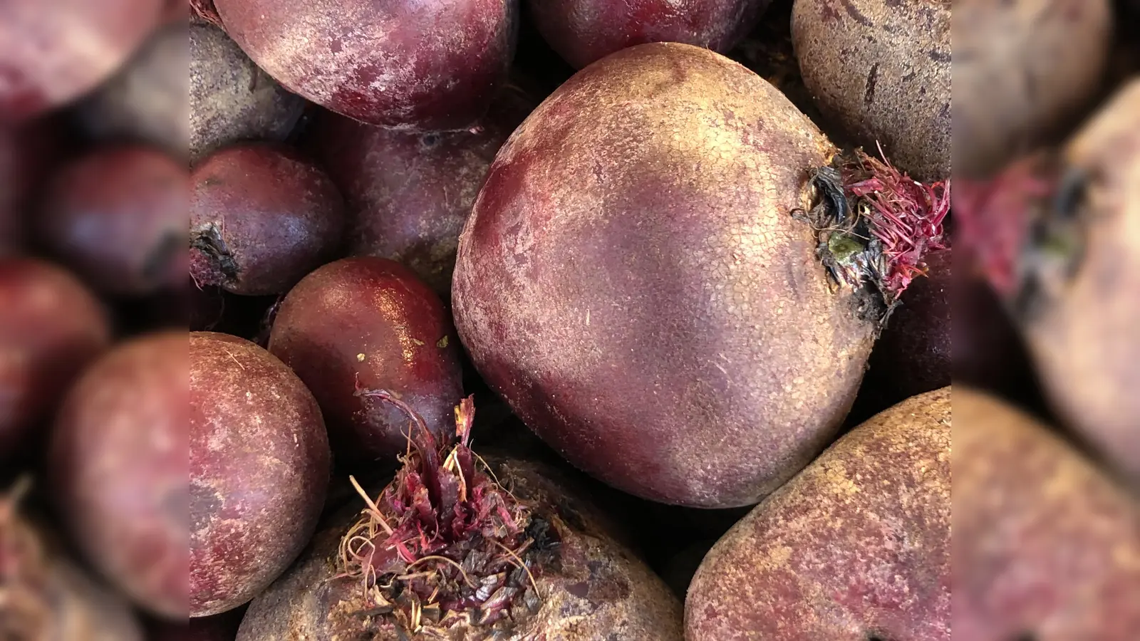 Eine Saatgutbörse findet am 21. Februar statt.  (Foto: hw)