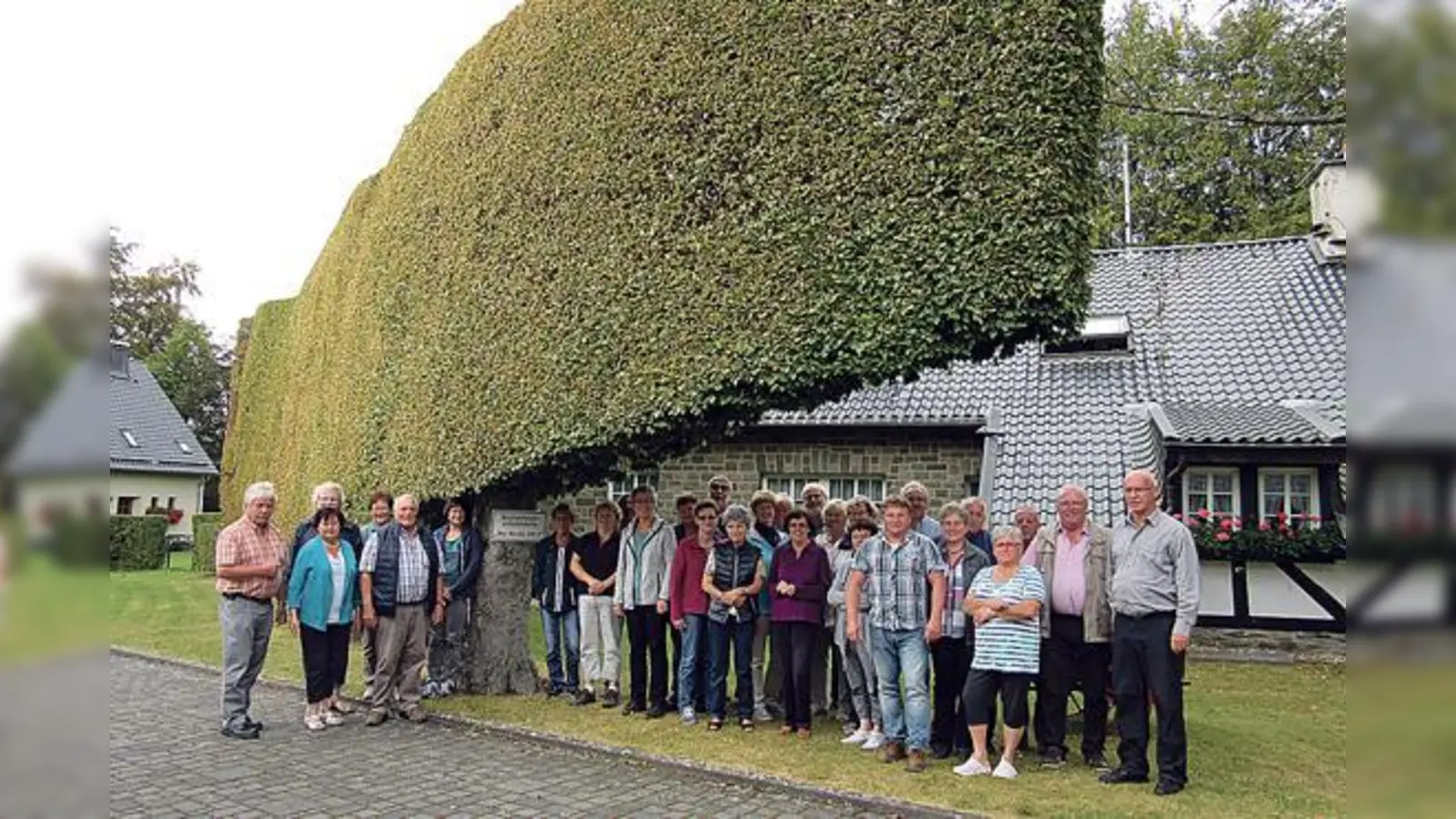 Die Hallnberger zu Besuch in Höfen, Stadtteil von Monschau. Hier geht man unter den zehn Meter hohen Hecken durch.	 (Foto: Helmut Kunert)