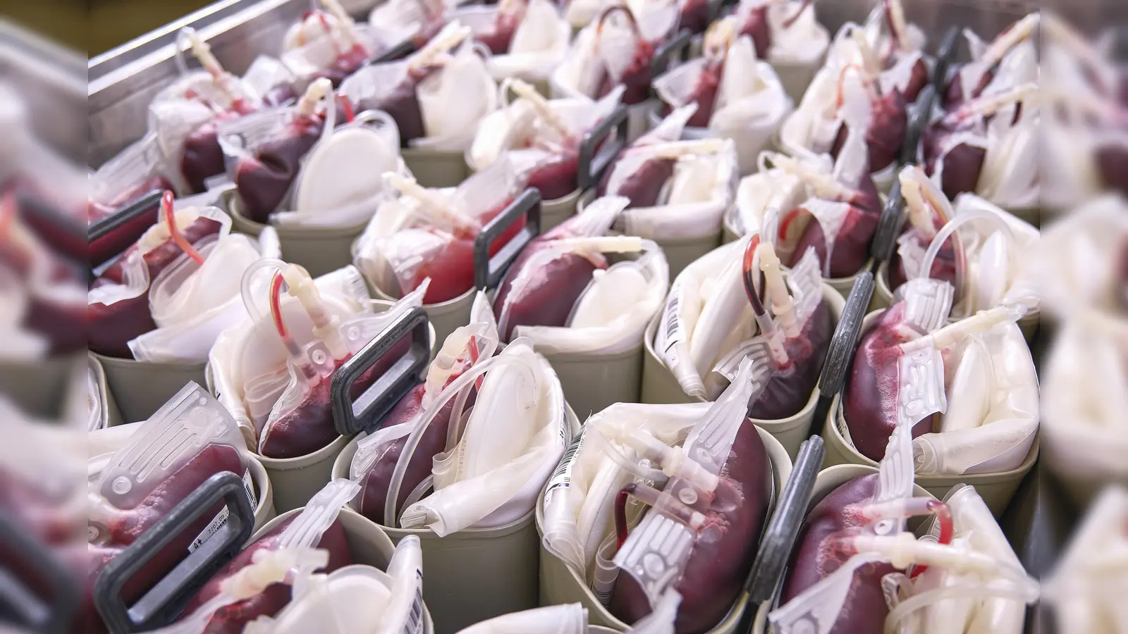 Jeden Tag werden allein in Bayern etwa 2.000 Blutspenden benötigt. (Foto: DRK-Blutspendedienst Baden-Württemberg – Hessen)