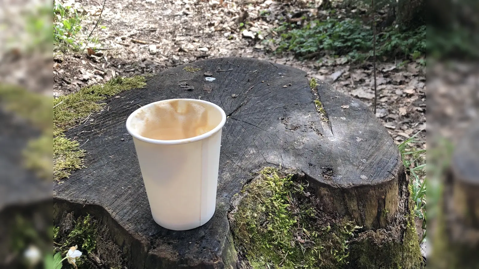 Achtlos weg geworfener Müll schadet der Umwelt. Am 14. März findet deshalb ein Ramadama statt.  (Foto: hw)