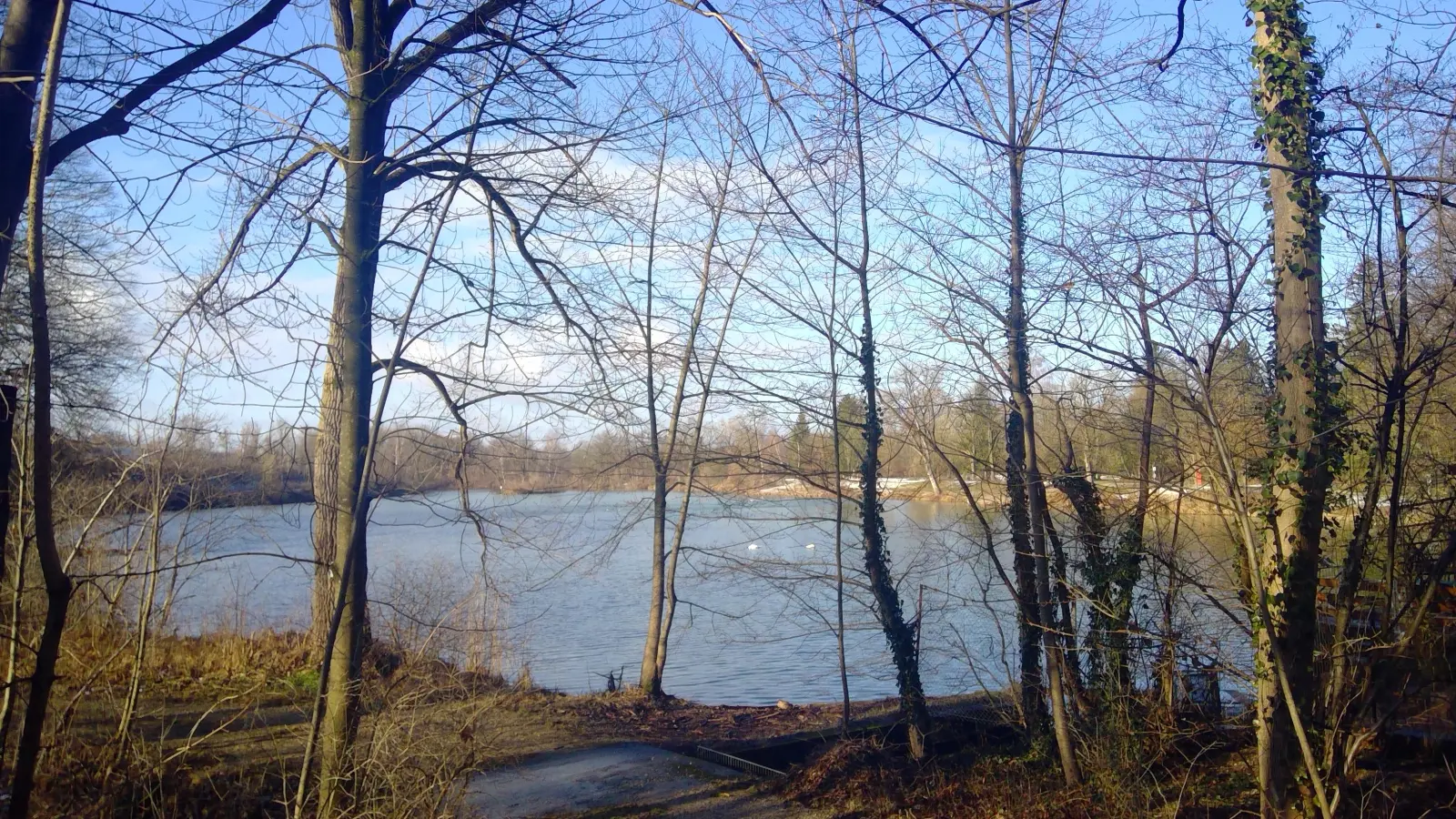 Im Auwald in der Nähe des Poschinger Weihers stehen aktuell dringliche Waldpflegemaßnahmen an. (Archivbild: bas)