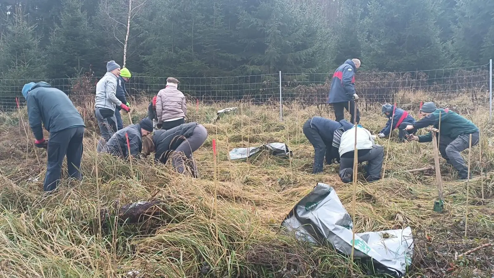 Die „Baumfreunde” bei ihrer Pflanzaktion im Gilchinger Gemeindewald. (Foto: Gemeinde Gilching)