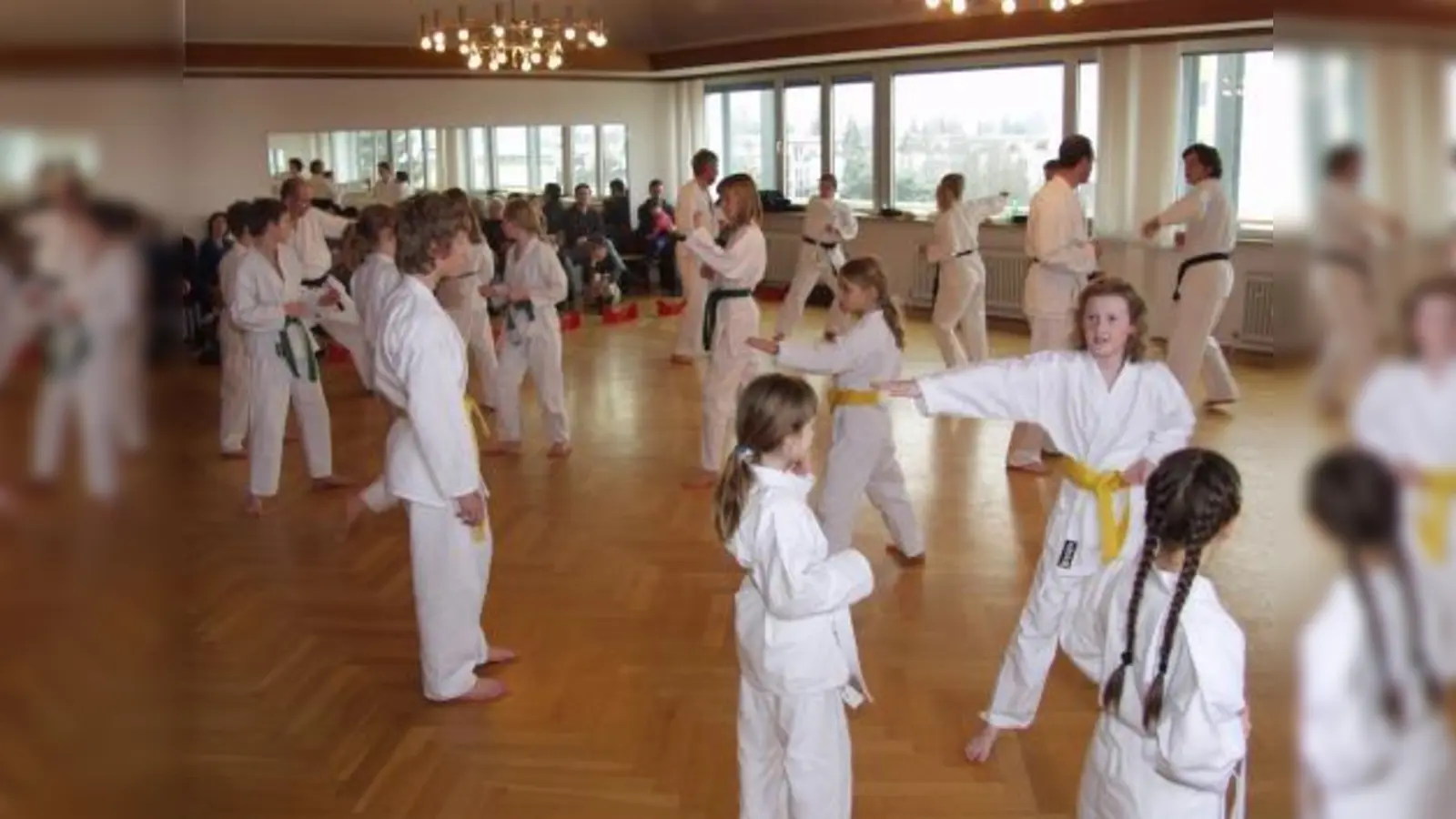 Interessierte Zuschauerinnen und Zuschauer fand die Kursstunde „Taekwondo für Kinder und Erwachsene“. (Foto: Eva Schraft)