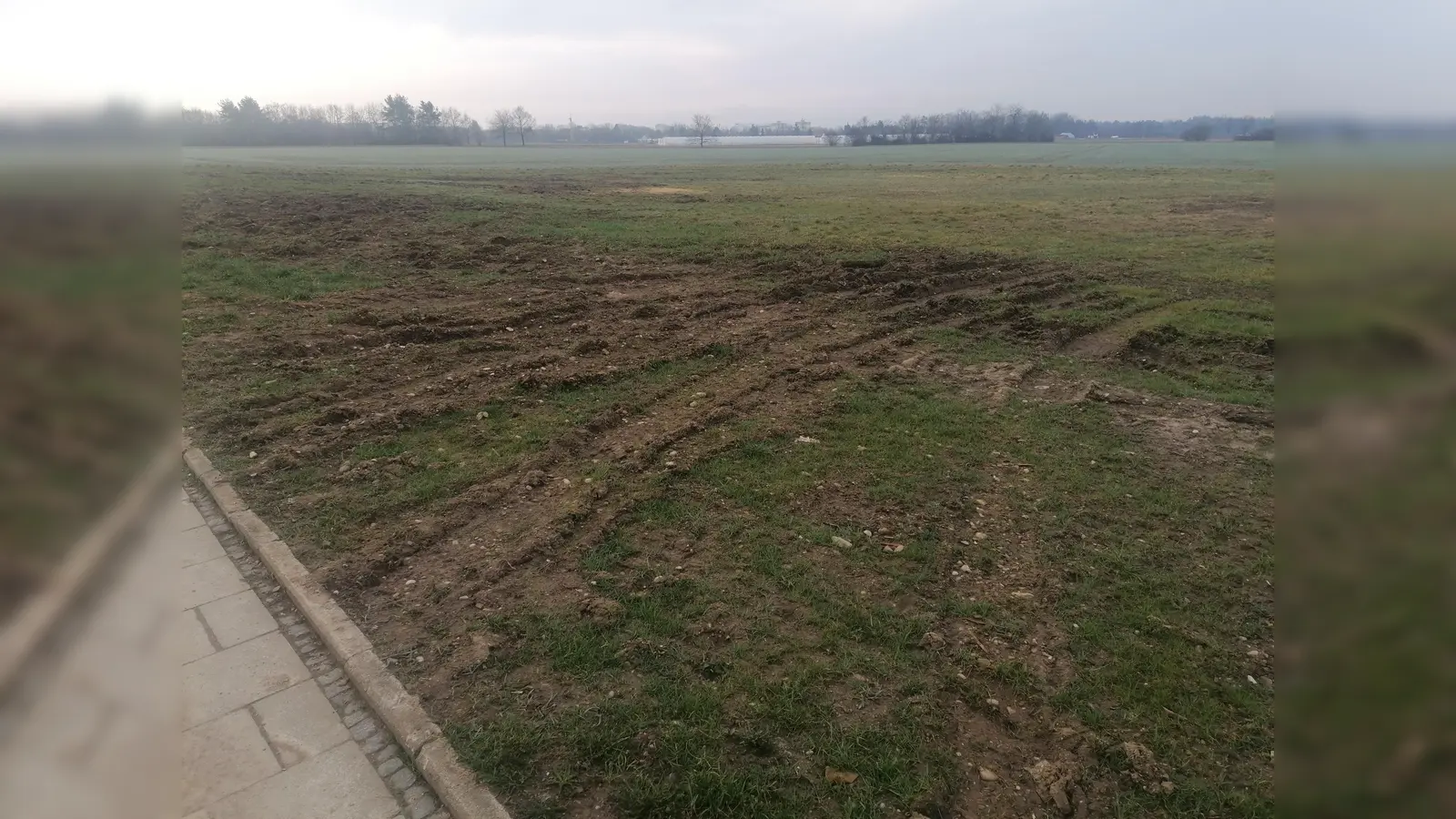 Die Wiese an der Silberdistelstraße. (Foto: job)