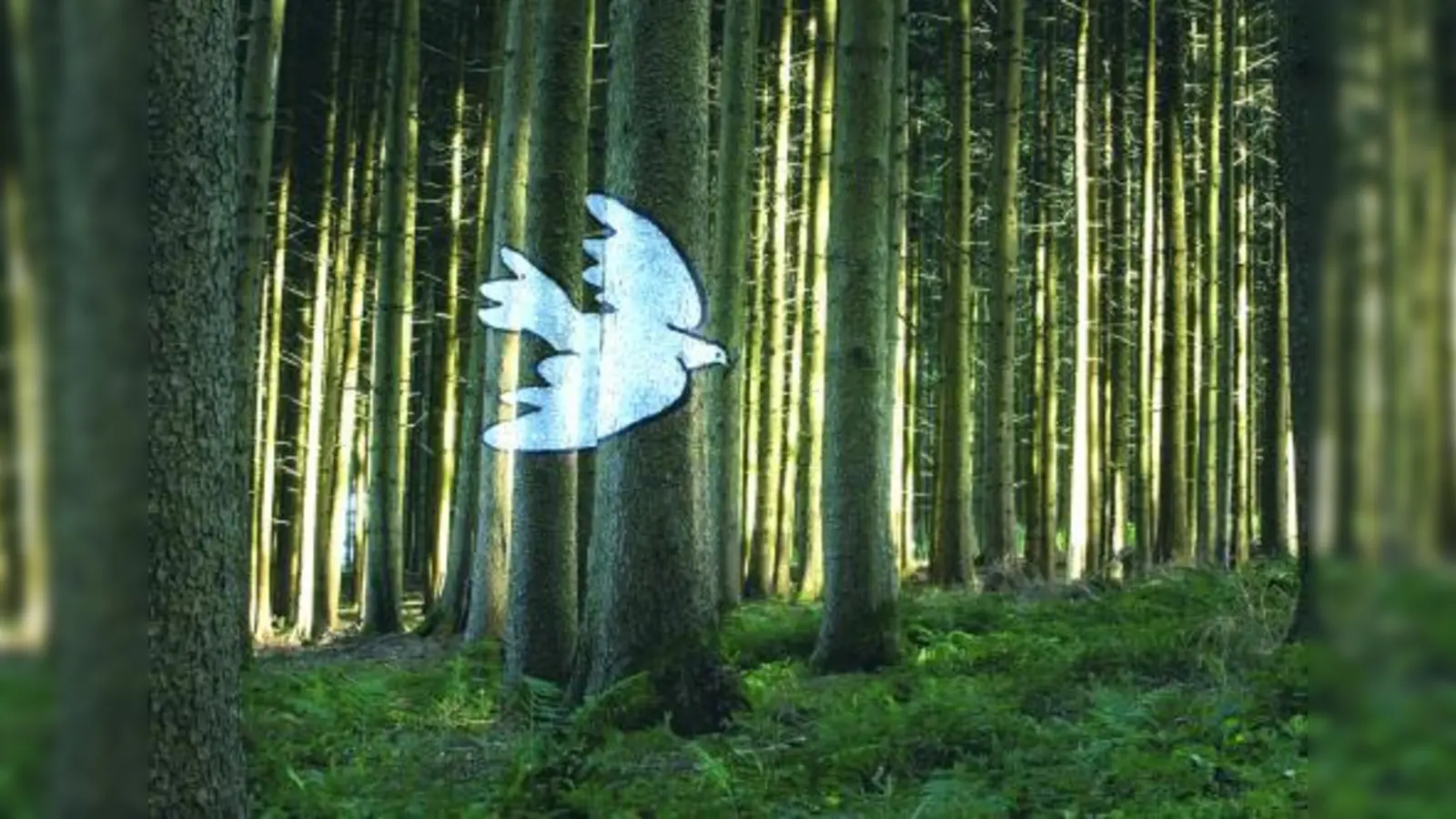 Die Friedenstaube nach Picasso ziert den „Wald der Bilder“ in Schwindegg. So ähnlich könnte bald auch die Waldkolonie oder das ehemalige Bad-Gelände aussehen. (Foto: pi)