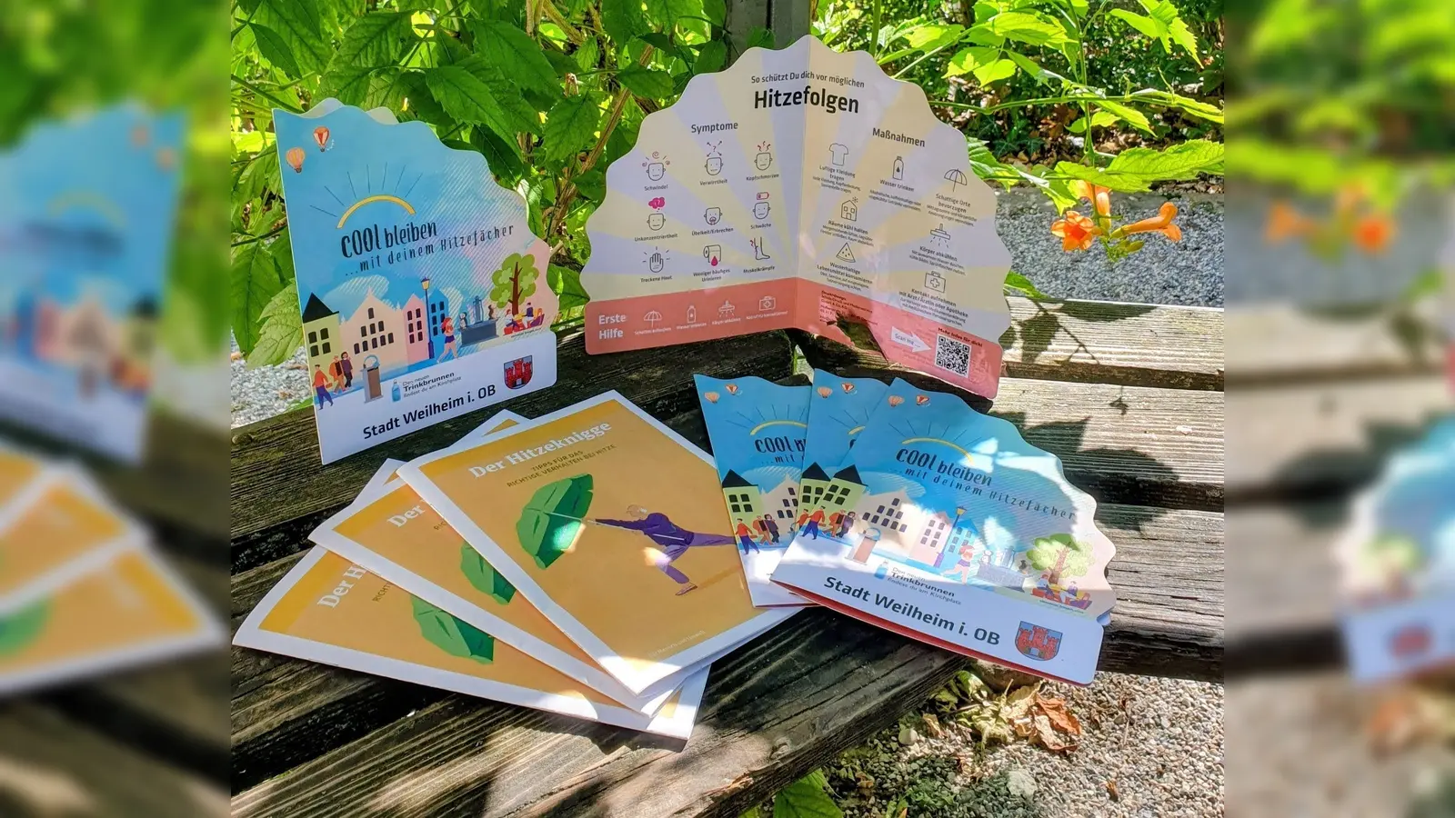 Den Hitzefächer und Hitzeknigge können sich die Bewohner Weilheims jetzt kostenlos an mehreren Orten abholen. (Foto: Stadt Weilheim i.OB.)