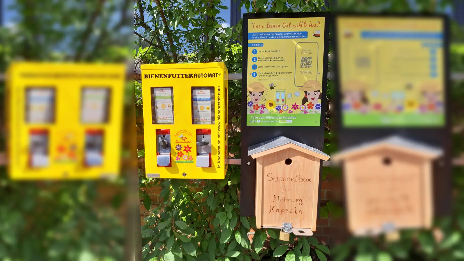 Der Bienenautomat ist wieder mit regionalem Saatgut gefüllt. (Foto: Gemeinde Gauting)