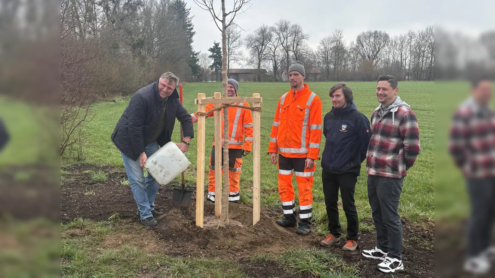 Landrat Stefan Löwl freute sich gemeinsam mit Stefan Grimm, Umweltbeauftragter der Gemeinde Karlsfeld, Sebastian Helmer, Naturschutzfachkraft der unteren Naturschutzbehörde, und Mitarbeitern des Bauhofs Karlsfeld über die neuen Birken. (Foto: LRA/Sina Török)