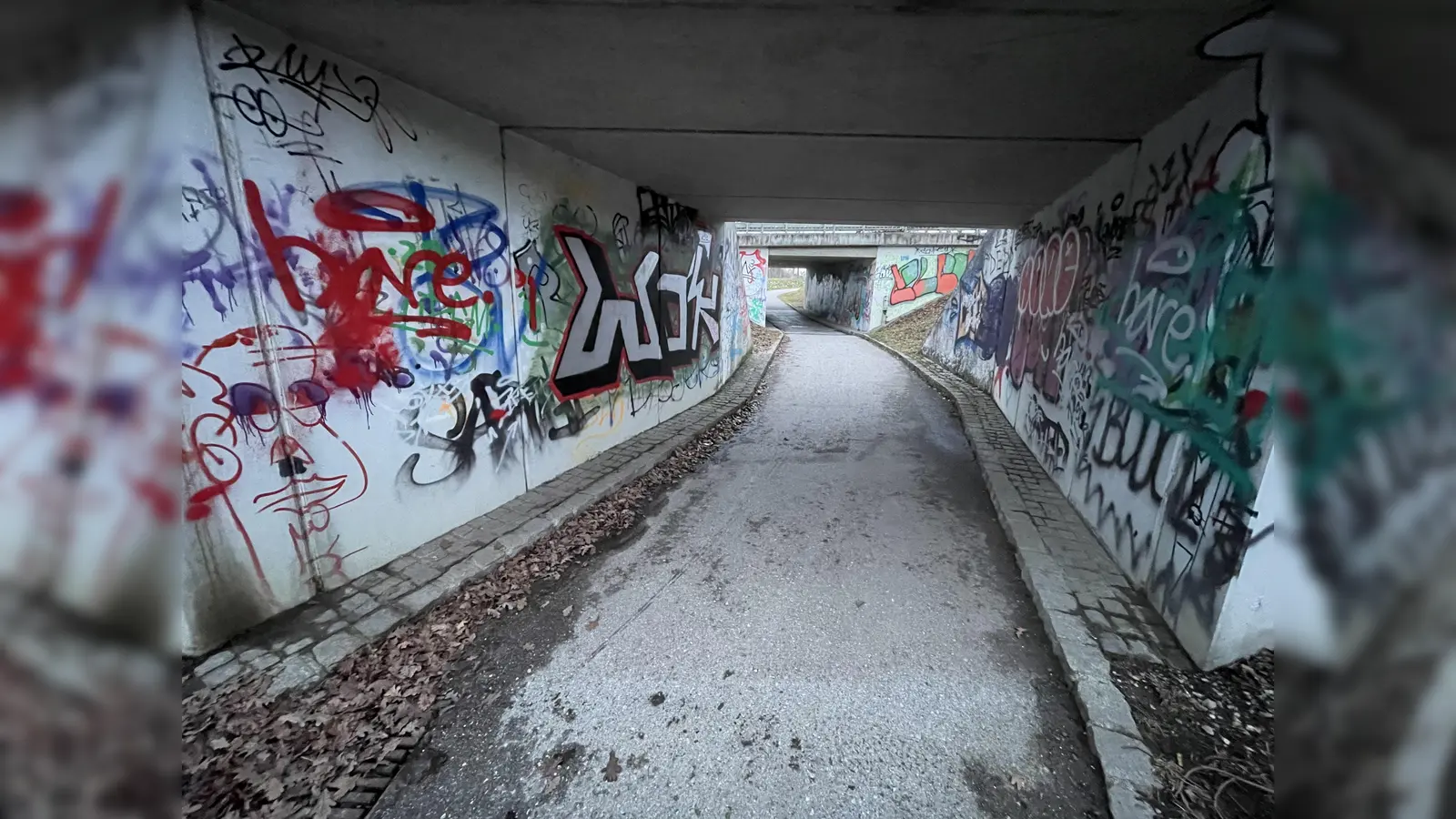 Kooperationsprojekt: Die Unterführung unter der Eichenallee soll künstlerisch gestaltet werden. (Foto: red)