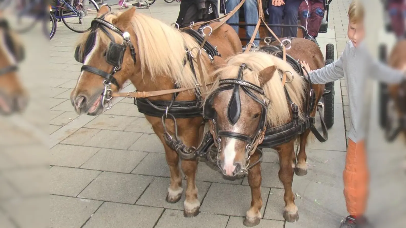Die Kutsche mit den Ponys ist der Renner beim Kinderfest. (Foto: pst)